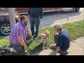 This man ran into a burning house to save a stranger's dog