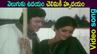 వెలుగుకు ఉదయం చెలిమికి హృదయం Video Songs | trisulam movie Krishnam Raju, Sridevi | #oldclassic songs