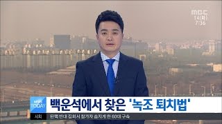 [대전MBC뉴스]충북-백운석에서 찾은 '녹조 퇴치법'