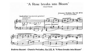 Brahms-Busoni - Chorale Preludes, Op.122, 8. “A Rose breaks into Bloom”