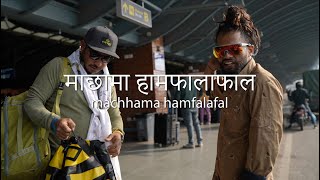 माछामा हामफालाफाल - MACHAMA HAMFALAFAL