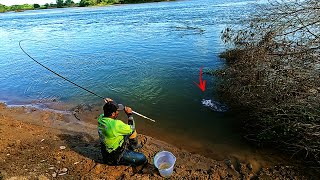 PESCA DE BARRANCO COM LAMBAR,I NUNCA PEGUEI TANTO ROBALO E TUCUNARE NA VARINHA DE MÃO.