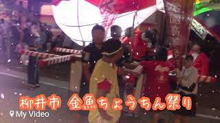 柳井市 金魚ちょうちん祭り