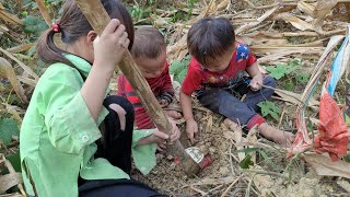 Three orphaned sisters went to dig corn and were lucky enough to find a copper mine.