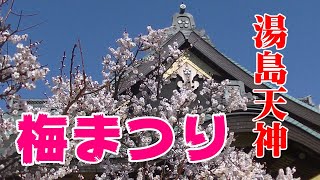 ２０１９年３月２日　梅まつりで賑わう湯島天神