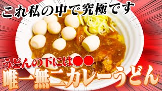 【カレーライス×カレーうどん】これ以上の背徳カレーうどんは知りません！究極のカレーうどんの作り方【ハイブリッド料理】