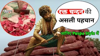 Red sandalwood की पहचान | chandan tree | top 5 facts | #pushpamovie_facts #shorts #dkgmotivational