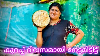 ചക്കയിടാൻ ആളെ കിട്ടിയപ്പോ പിന്നെ ഒന്നും നോക്കിയില്ല മുഴുവൻ വെട്ടിച്ചാടിച്ചു 😂 ആകെ പെട്ടു പോയി 😂😔