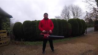 Toro powerplex leaf blower review. 51134