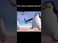 Average boys experience #penguins #meme