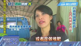 20180608中天新聞　1元美蕉全餵豬　蕉農看了心好痛