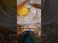 cracking the weird squishy egg. follow my tiktok if you want.