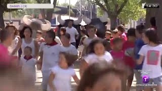 Fiestas de Daimiel en honor a la Virgen de las Cruces