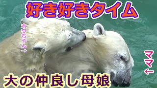 【好き好きタイム】仲良し母娘　甘えからの噛みあいシロクマの母娘【天王寺動物園】