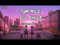 Tum mile Dil khile (Slowed+Reverb) Hindi lofi song | Sanchit Reverb