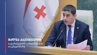 შალვა პაპუაშვილის და ავსტრიის პარლამენტის ფედერალური საბჭოს პრეზიდენტის  ბრიფინგი -  13.11.2023