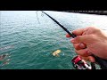 Shore Micro Jigging for Sagai Trevally in Urban Singapore City