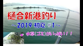 樋合新港釣り ～2019 初夏#1～