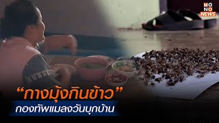 “กางมุ้งกินข้าว” กองทัพแมลงวันบุกบ้าน  | Mono ข่าวเช้า  | 19 มิ.ย. 67