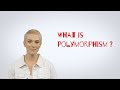Software Engineer Technical Interview Questions | What is Polymorphism in Java?