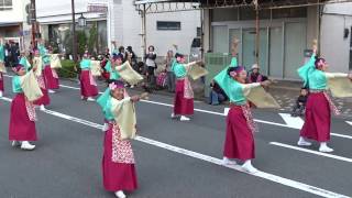 桜湖頭／本町審査会場／第20回よさこい東海道2016（本祭）