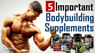 Top 5 essential & best bodybuilding supplements to gain muscle fast | Fitness Rockers