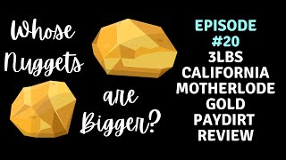 Whose Nuggets are Bigger?..Episode #20 California Motherlode 3LB #gold #goldpaydirt #goldprospecting