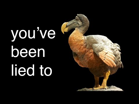 Did dodos taste good?