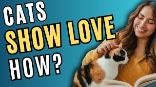Does My Cat Love Me - 10 Signs My Cat Loves Me / Cat World Academy
