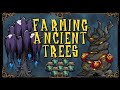 HOW TO GET EXOTIC TREES WITHOUT BOTTLE SAILIING | Don't Starve Together Guide