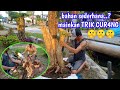 MEMBUAT BONSAI TAMAN || proses penggabungan 2 pohon & penanaman