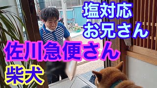 【柴犬】佐川急便 塩対応お兄さん再来！