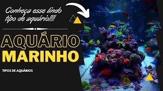 CONHEÇA O AQUÁRIMO MARINHO [CORTES AQUALINEA]