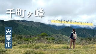 静かにゆっくりしたい人おすすめな千町ヶ峰！往復2時間で登れる穴場スポット【兵庫県宍粟市】