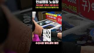 수산시장 썰전 광어 방어 헷갈린다 헷갈려 / 여수여행 여수수산시장 여수회센터 #Shorts