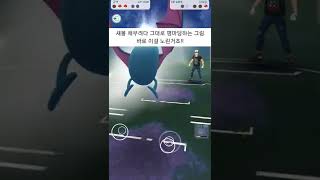 GBL) 관동지방의 사천왕, 국화 파티로 슈퍼리그를 하는 사람이 있다?! #gbl #pokemongo #포켓몬고 #국화 #agatha #キクコ