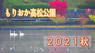 盛岡市高松公園２０２１秋