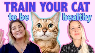 You Can Train Your Cat to Live a Healthier Life!