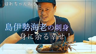 [沖縄魚] 島伊勢海老を刺身で食す！ [魚屋vlog]