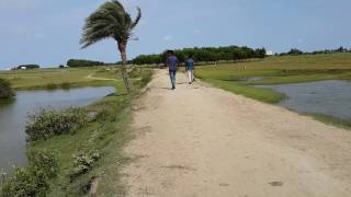 Kuakata the most beautiful sea beach of Bangladesh  8