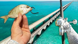 4 Days to Catch Every Prized Fish From Florida Keys Bridges | Snapper, Grouper, Permit, Tarpon