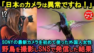 【海外の反応】「日本のメーカーは信じられない」野鳥撮影が趣味のアメリカ人女性がSONYの最新カメラで鳥を撮影、SNSに投稿し訪れた衝撃の結末とは…！？