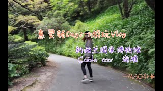 「惠灵顿Vlog」惠灵顿Day2到Day5玩乐part！旅游真的太快乐了！|记录生活 留学生日常