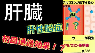 看護師国家試験出るとこだけ『肝臓』　聞いて覚える。#必修問題　#看護師国家試験　#看護学生　#看護学生勉強