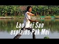 Lao Wei San Pak Mei Documentary 刘伟新白眉拳