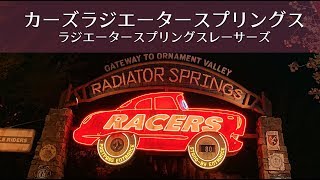 【DCA】カーズのアトラクション：ラジエータースプリングスレーサーズ