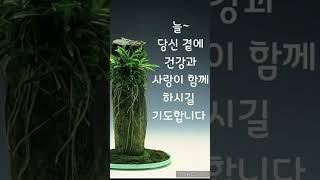 바로 어제의 일만 같은데