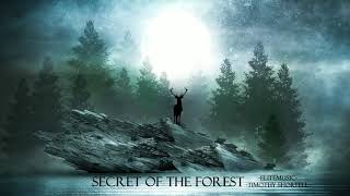 Download Lagu Timothy Shortell and EliteMusic Secret of the Fore... MP3 Gratis