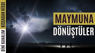 Maymuna Dönüşen ve Ölen İbretlik Sebt Kavmi