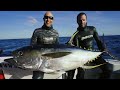 24h spearfishing mission bait balls with big eye tuna crazy shearwaters and dolphins